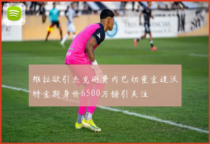 维拉欲引杰克逊费内巴切重金追沃特金斯身价6500万镑引关注