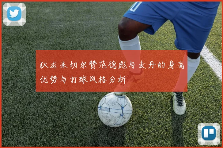 狄龙米切尔赞范德彪与麦丹的身高优势与打球风格分析