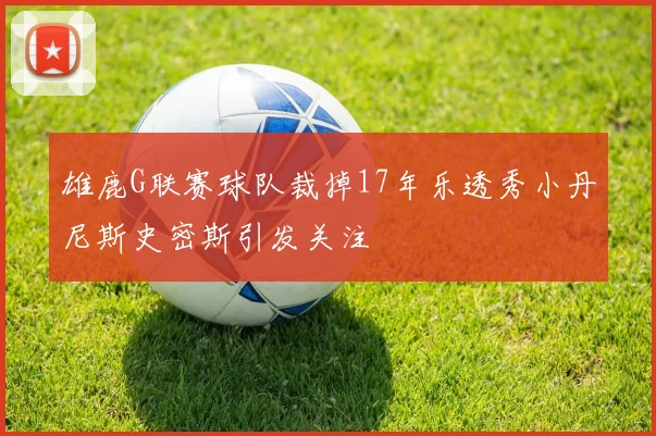 雄鹿G联赛球队裁掉17年乐透秀小丹尼斯史密斯引发关注