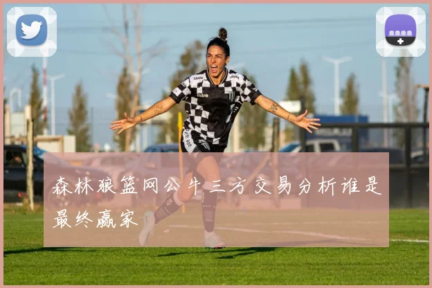 森林狼篮网公牛三方交易分析谁是最终赢家