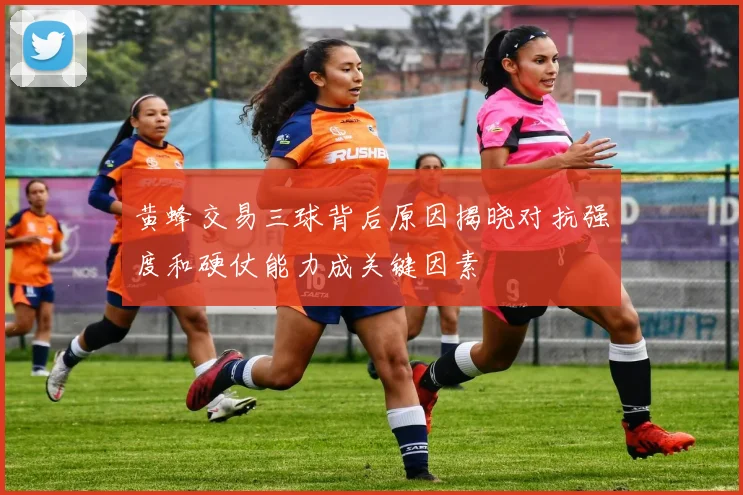 黄蜂交易三球背后原因揭晓对抗强度和硬仗能力成关键因素